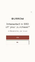Frame #10 - burrow.com