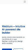 Frame #6 - weblium.com