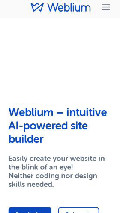Frame #10 - weblium.com